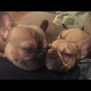 Meet your Posher, Shannon